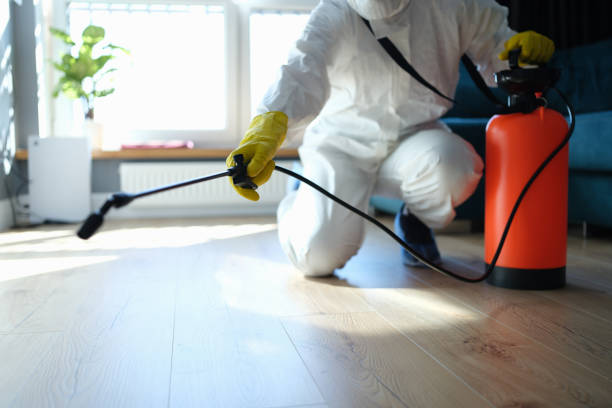 Reliable Odor Removal contractor in Raymond, WI by Trauma Clean Pros